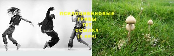 первитин Пестово